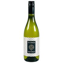 Evi Dance Pinot Grigio IGT PET fles 75cl