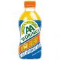 AA Drink Orange PET Doos 24x33cl