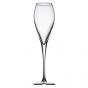 Luxe Champagne Glas  6 x 22,5cl 