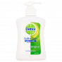 Dettol Wasgel 250ml