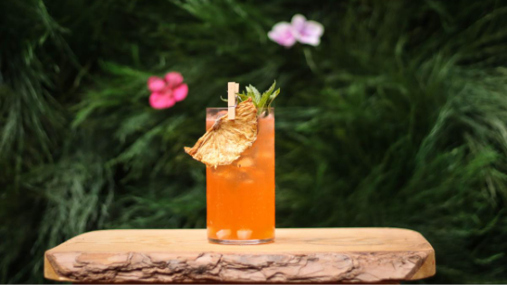 Cocktails maken? Dit zijn de 10 lekkerste